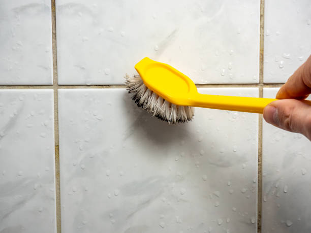 Best Affordable Mold Removal  in Walkertown, NC