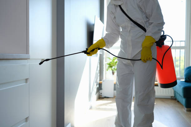 Certified Mold Removal in Walkertown, NC